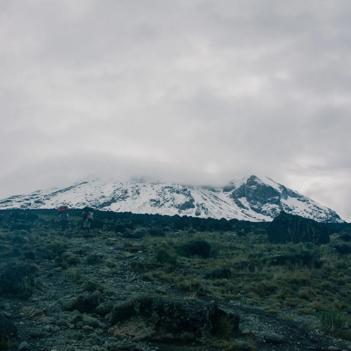 Día 2 Día principal de la experiencia — Trekking por la ruta Machame del Kilimanjaro