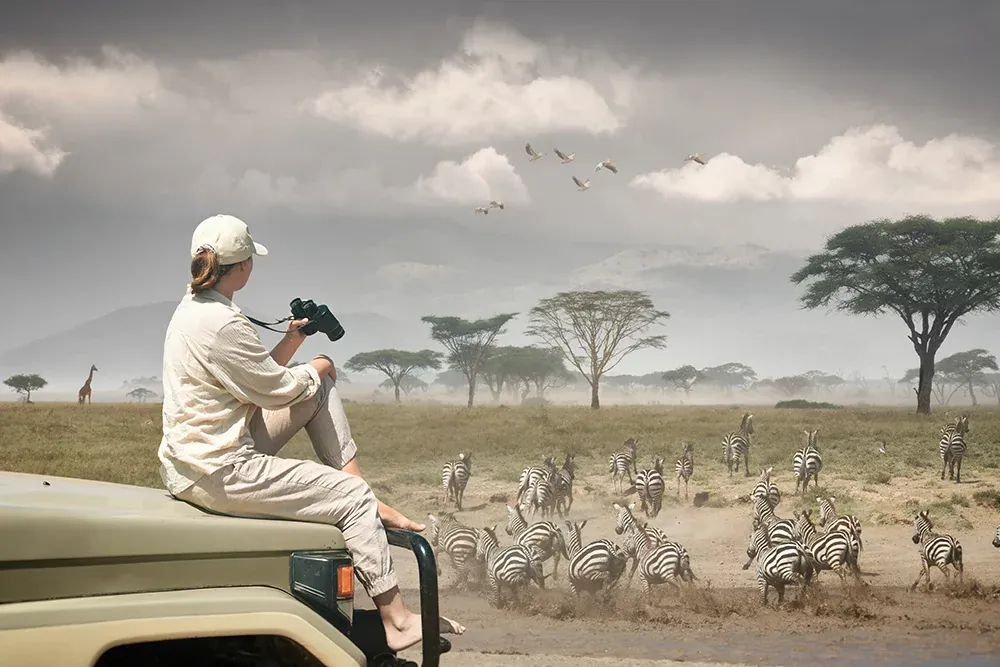 Migration Safaris